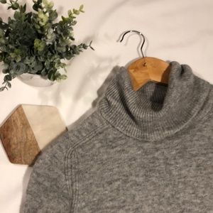 JCrew Turtleneck Dress
